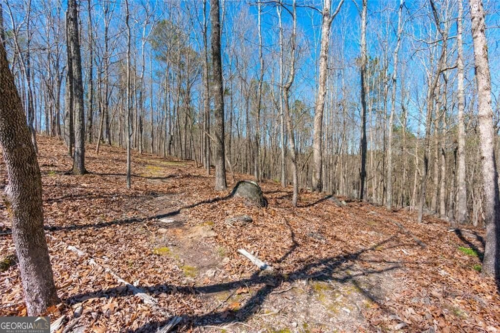 10 Clydesdale Trail White - Photo 85