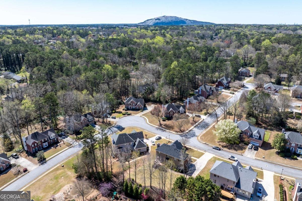 1640 Pinetree Pass Lane Lilburn - Photo 47