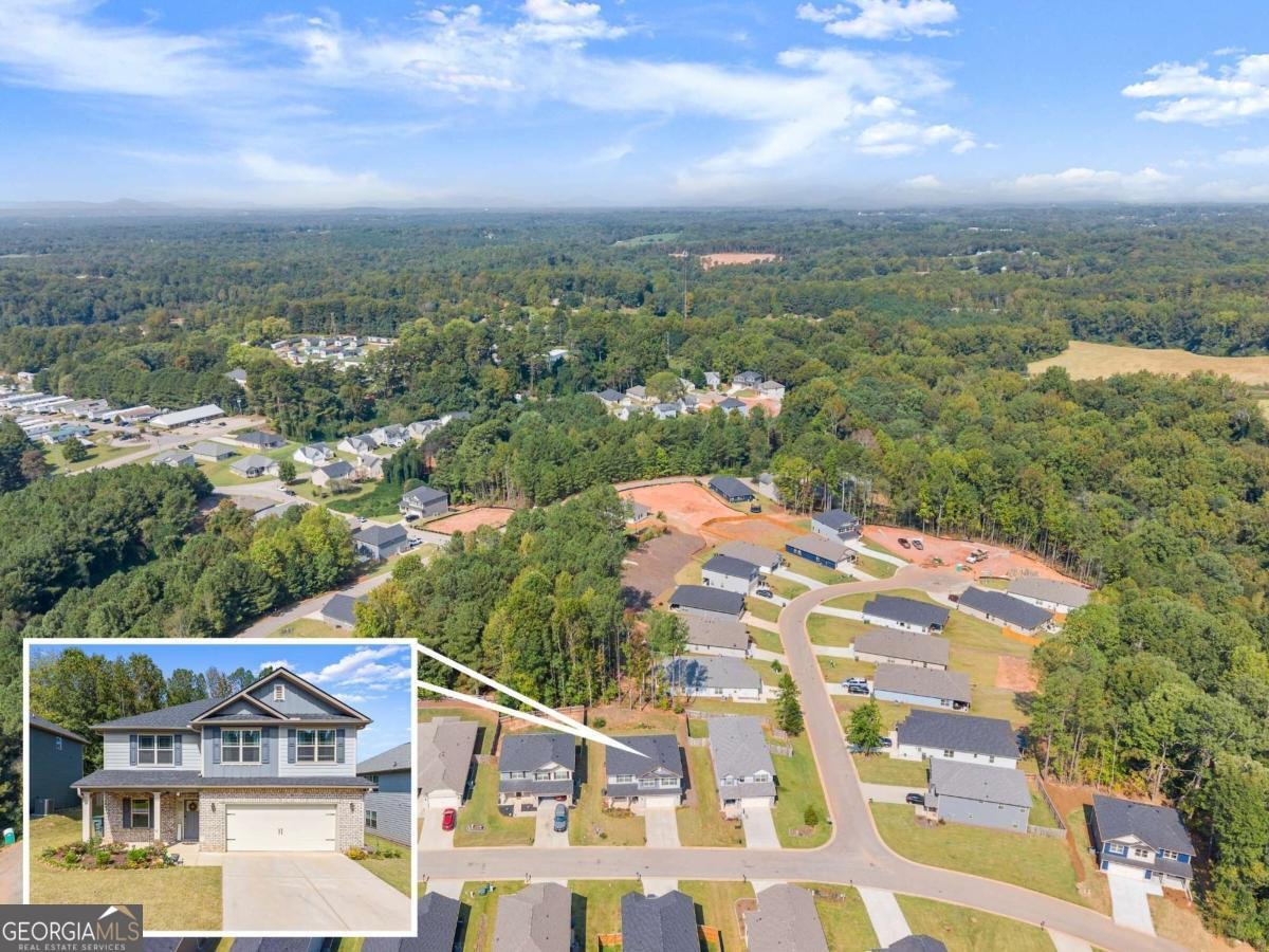 245 Magnolia Villas Drive Cornelia - Photo 41