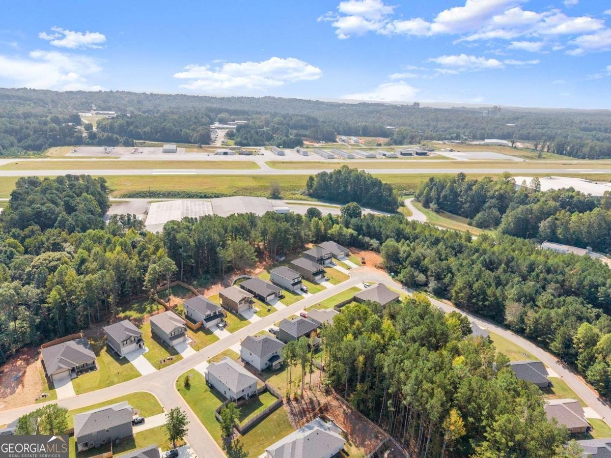 245 Magnolia Villas Drive Cornelia - Photo 44