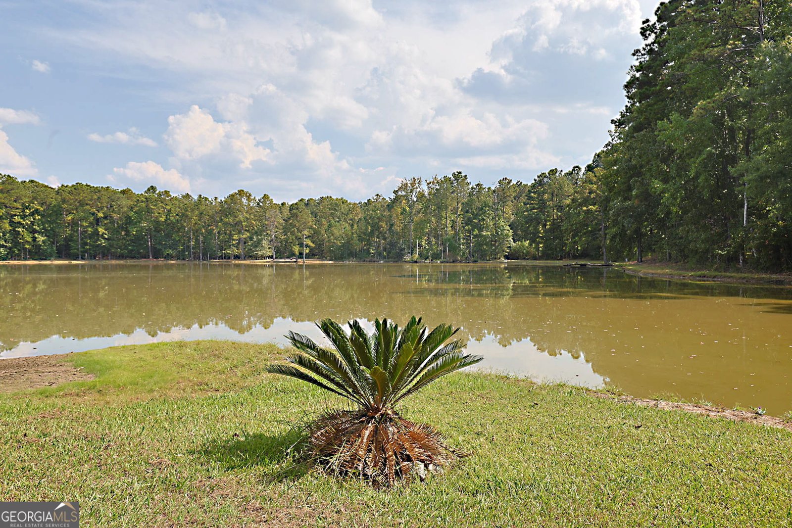 994 Ga Highway 315 Fortson - Photo 37