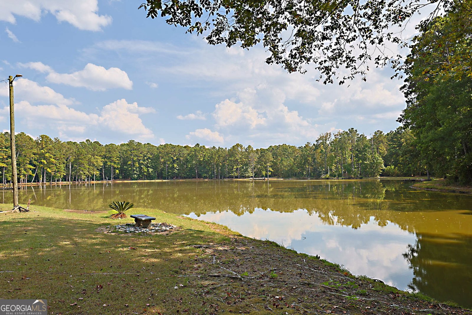 994 Ga Highway 315 Fortson - Photo 38