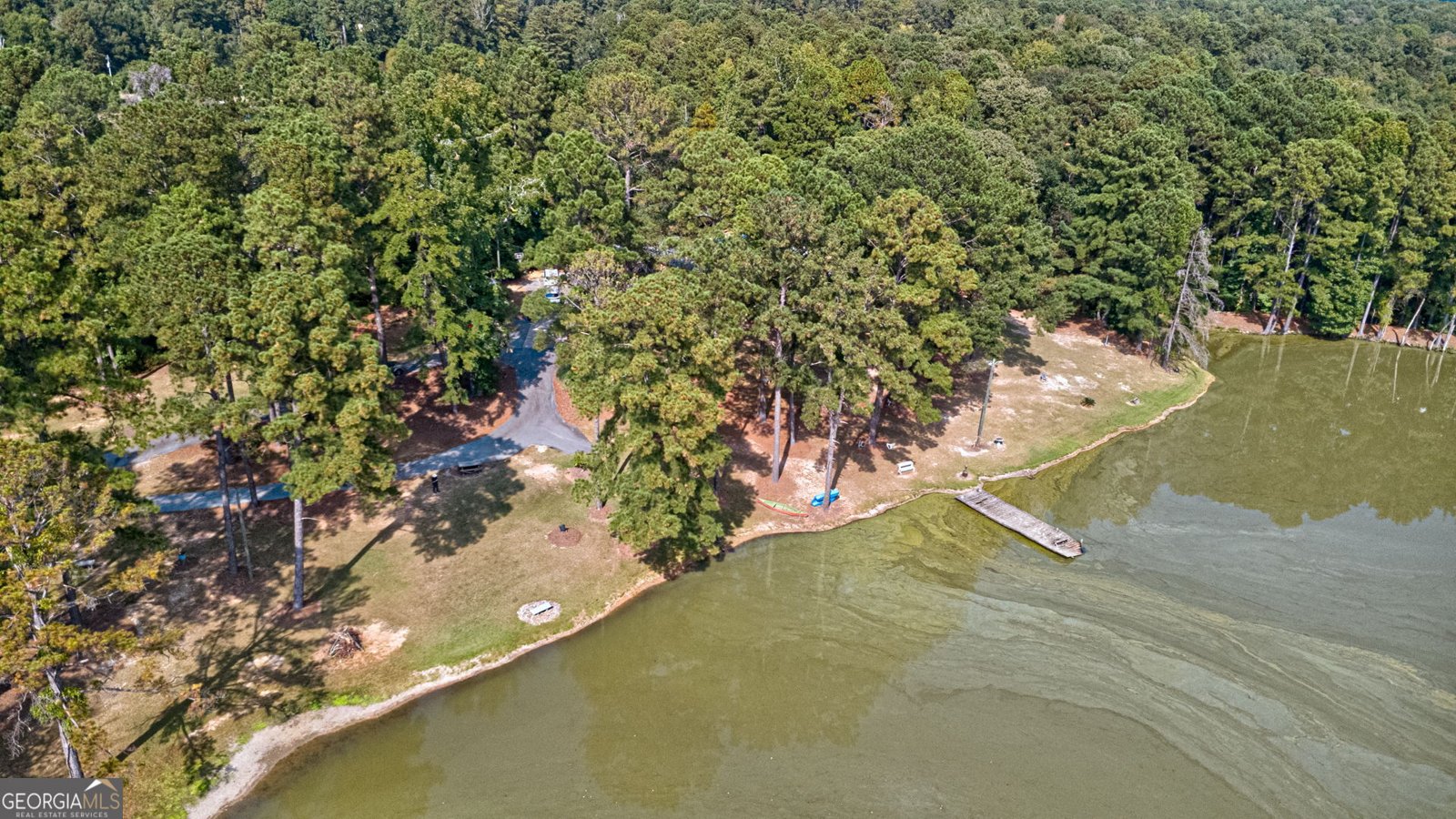 994 Ga Highway 315 Fortson - Photo 39