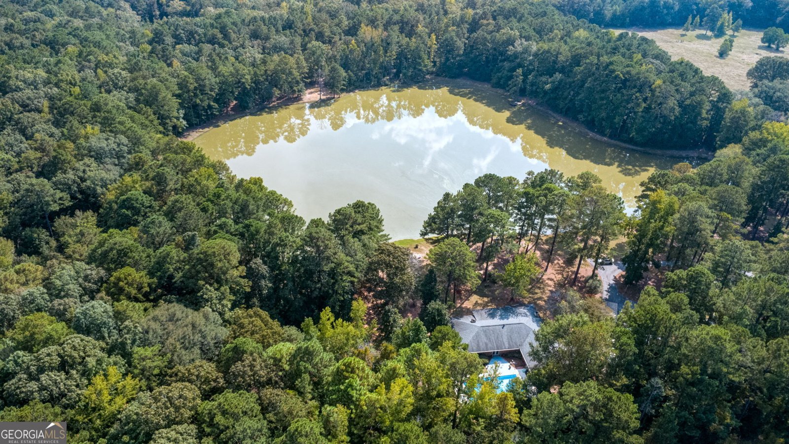 994 Ga Highway 315 Fortson - Photo 41