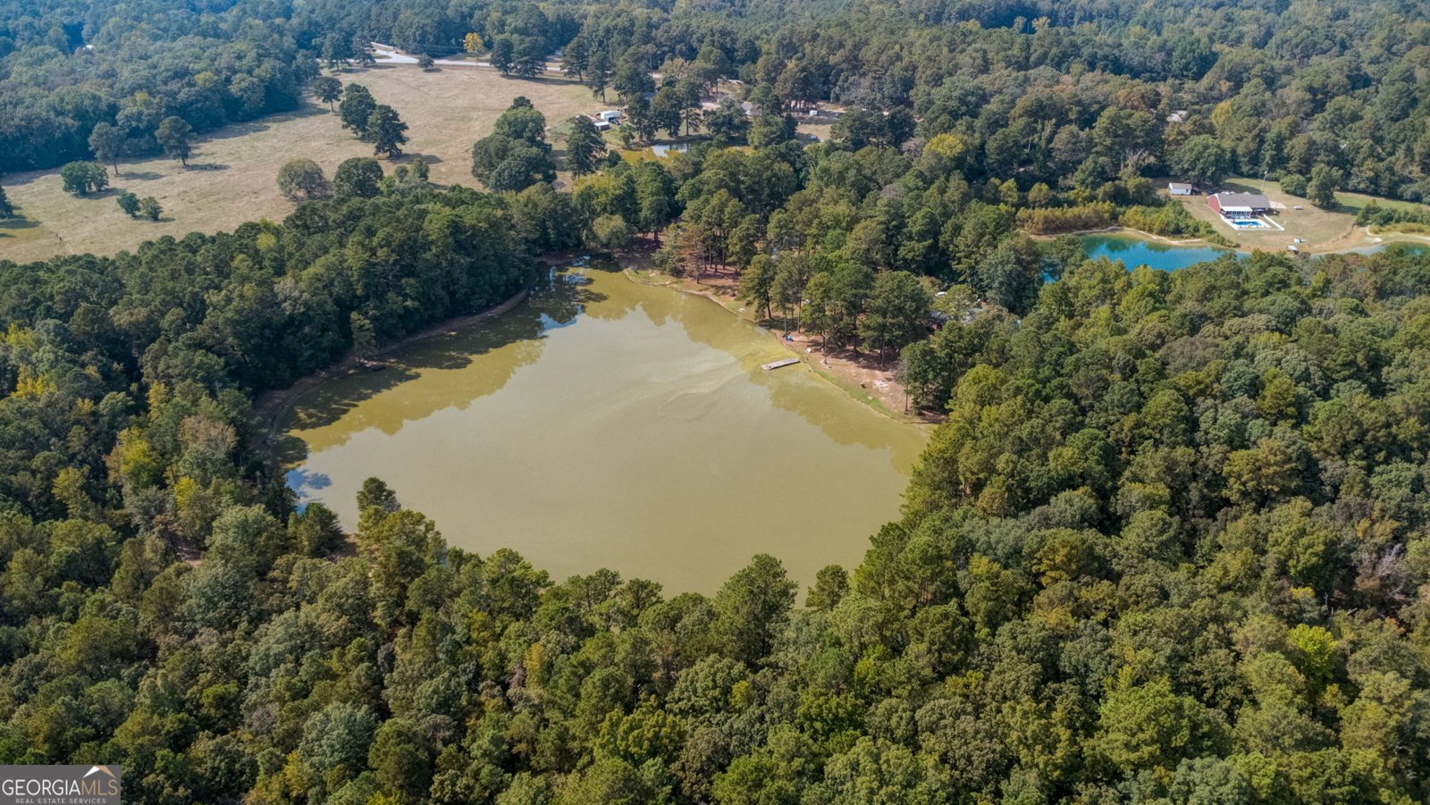 994 Ga Highway 315 Fortson - Photo 42