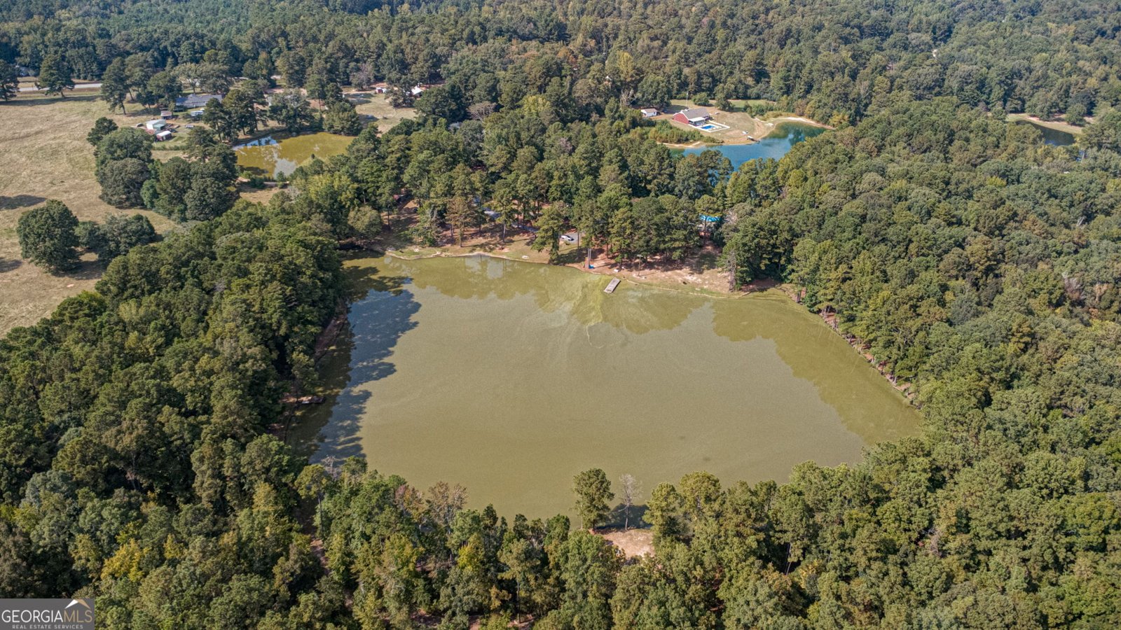 994 Ga Highway 315 Fortson - Photo 43