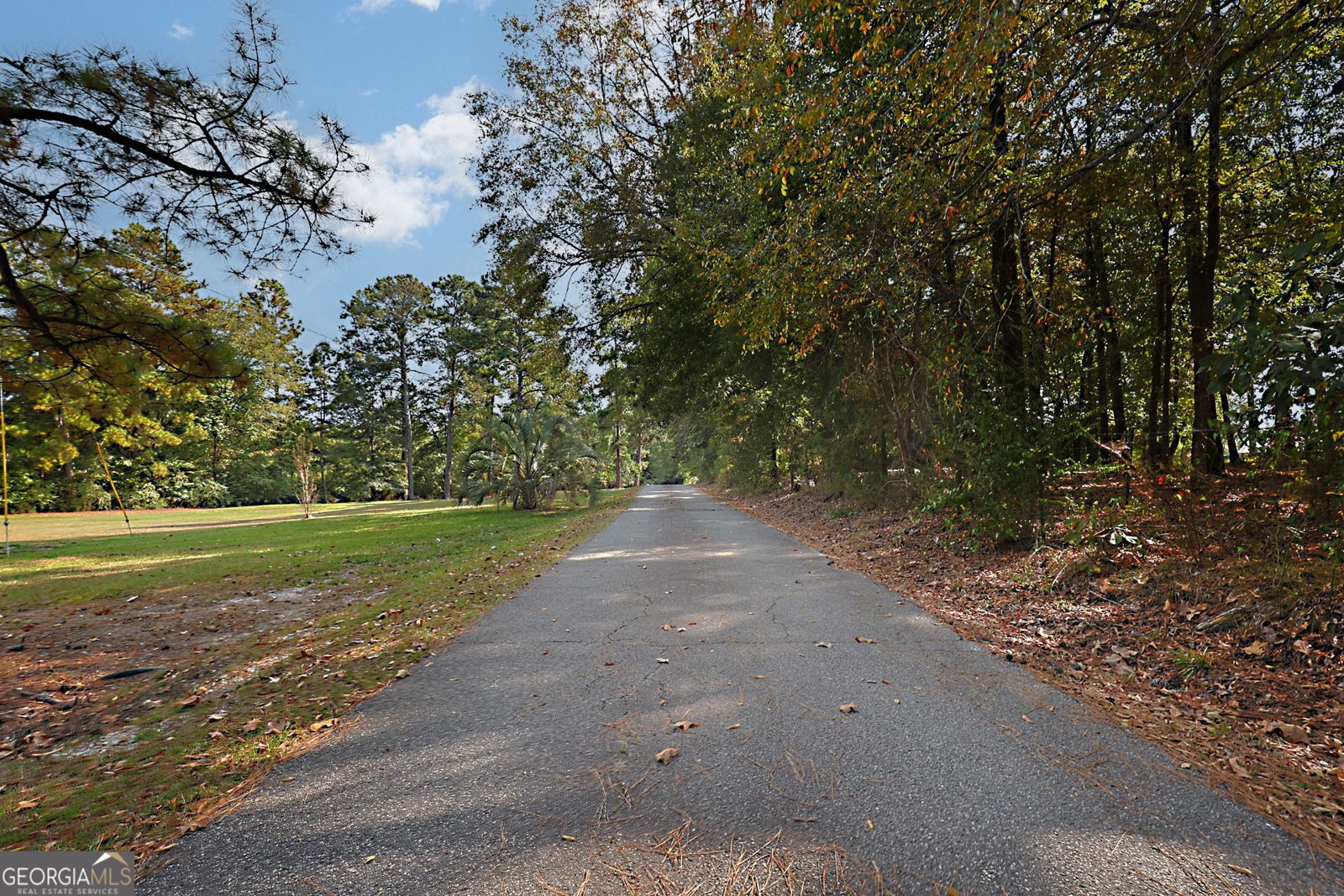 994 Ga Highway 315 Fortson - Photo 46
