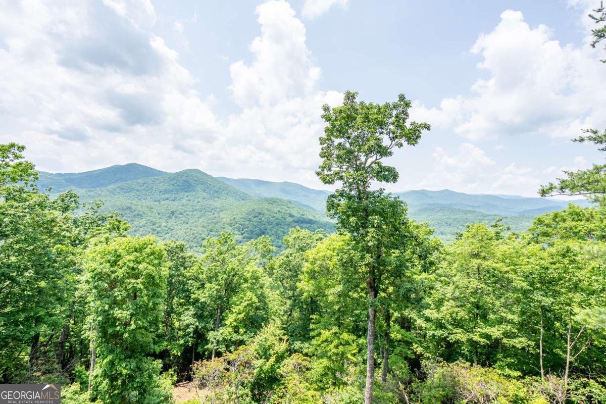 670 Brittney Drive Blue Ridge - Photo 24