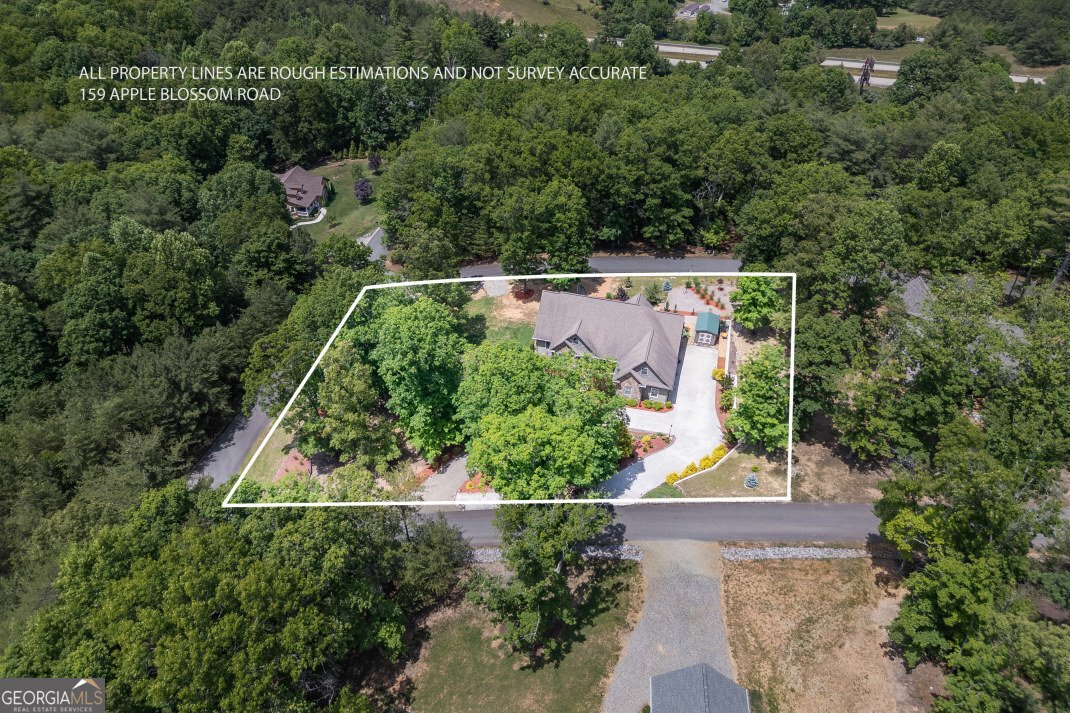 159 Apple Blossom Road Blairsville - Photo 77