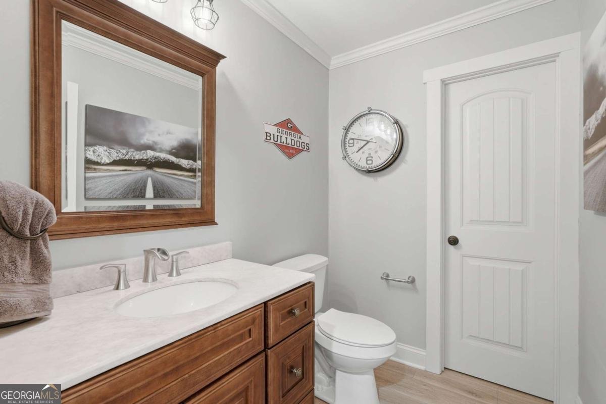 1455 Apple Blossom Drive Cumming - Photo 43