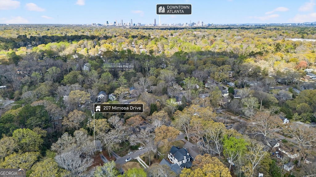 207 Mimosa Drive Decatur - Photo 43