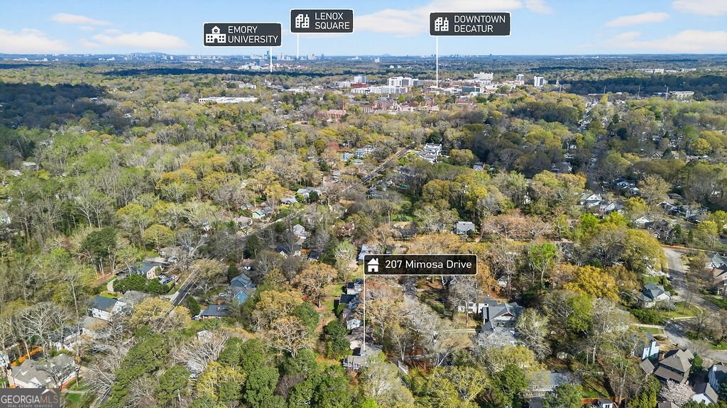 207 Mimosa Drive Decatur - Photo 44