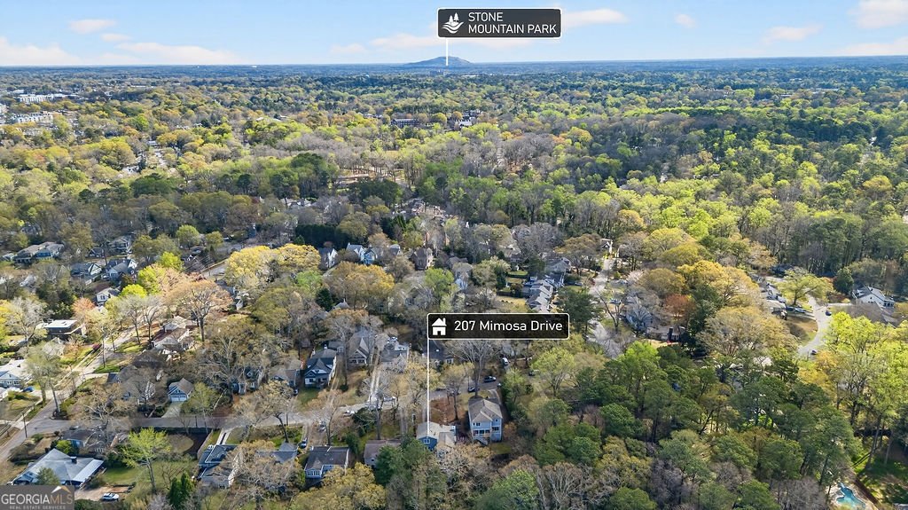 207 Mimosa Drive Decatur - Photo 45