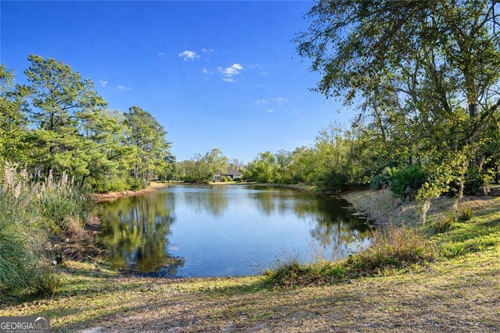 113 Serenoa Drive Brunswick - Photo 42