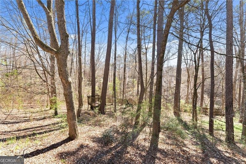 4140 River Bluff Run Way Suwanee - Photo 65