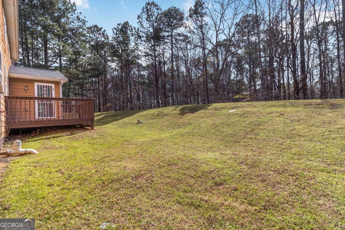 10224 HEMLOCK Way Jonesboro - Photo 46