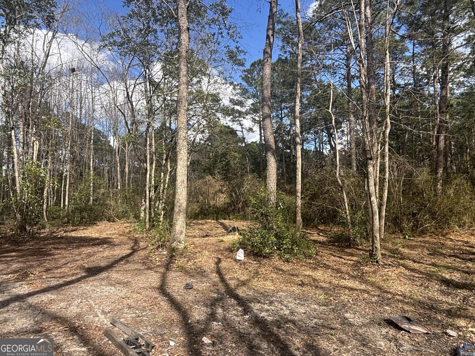 108 Beecher Drive Guyton - Photo 34