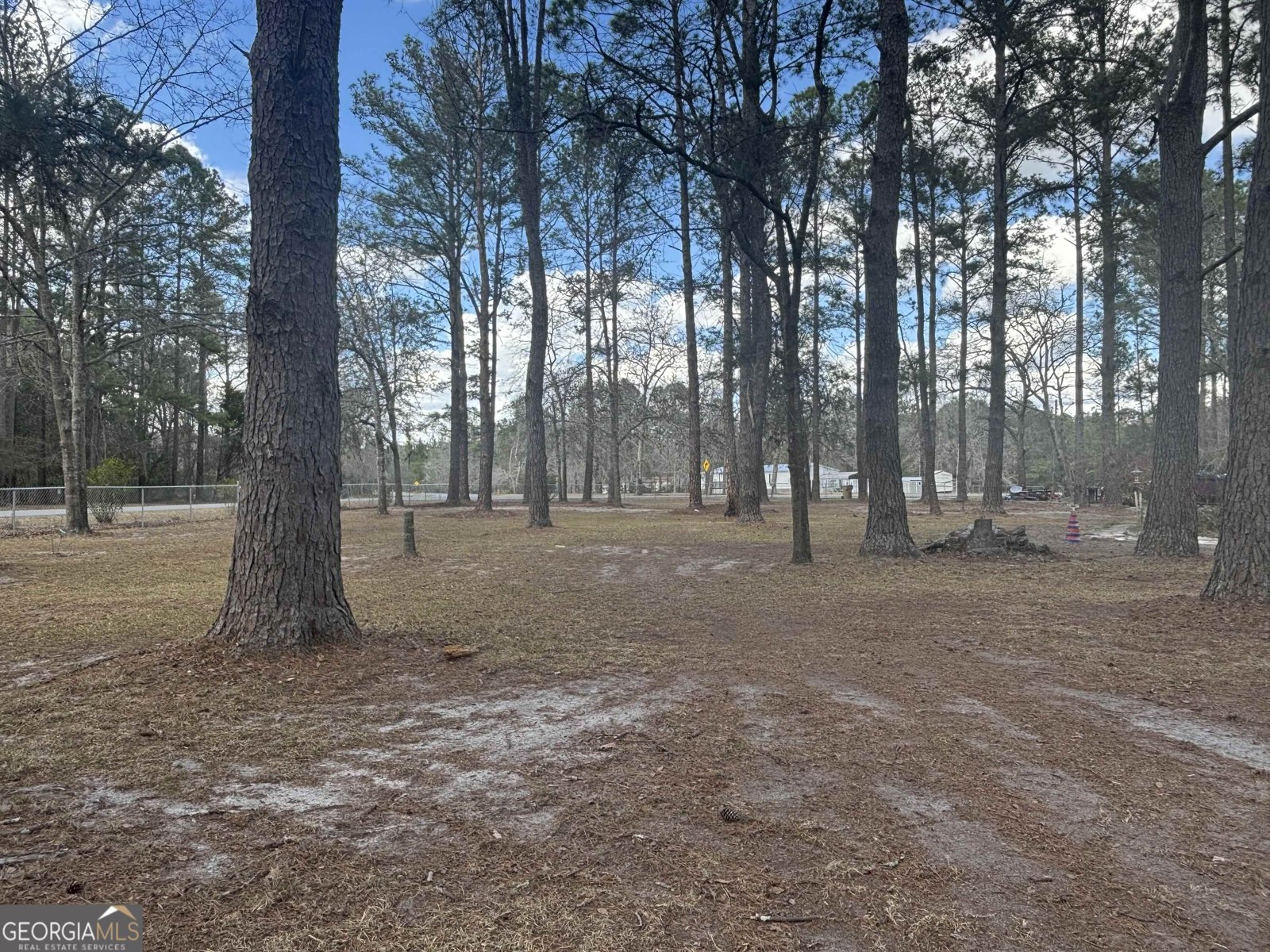 108 Beecher Drive Guyton - Photo 35