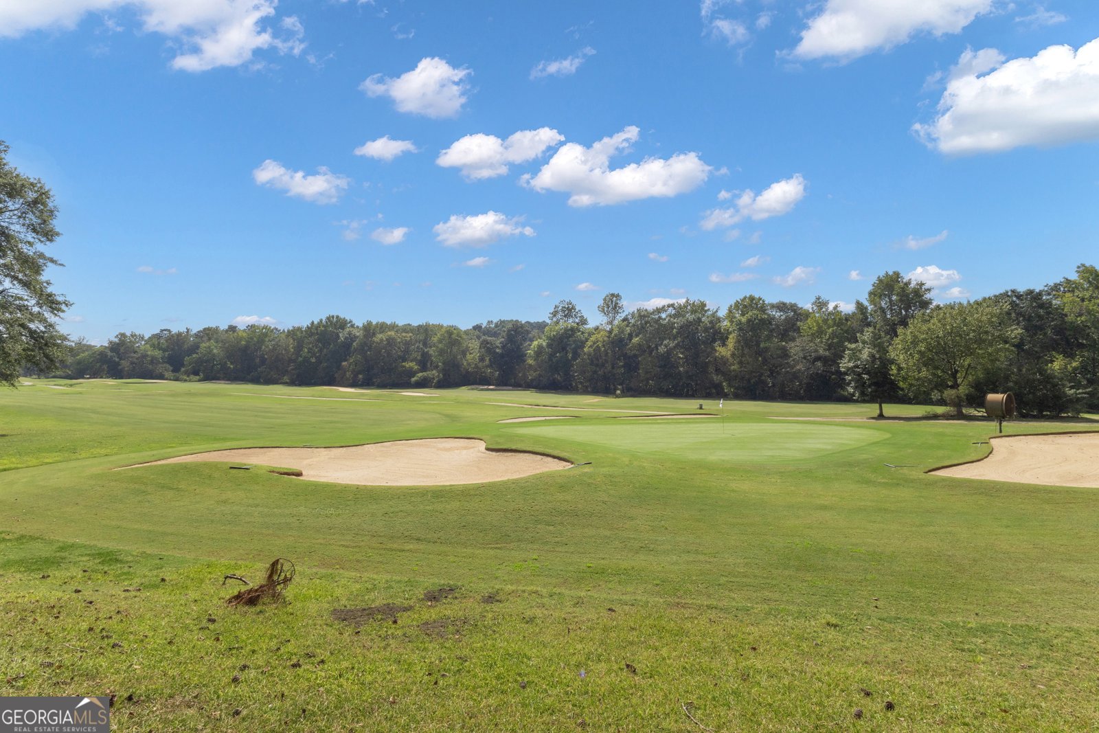 60 Audubon Place Newnan - Photo 37