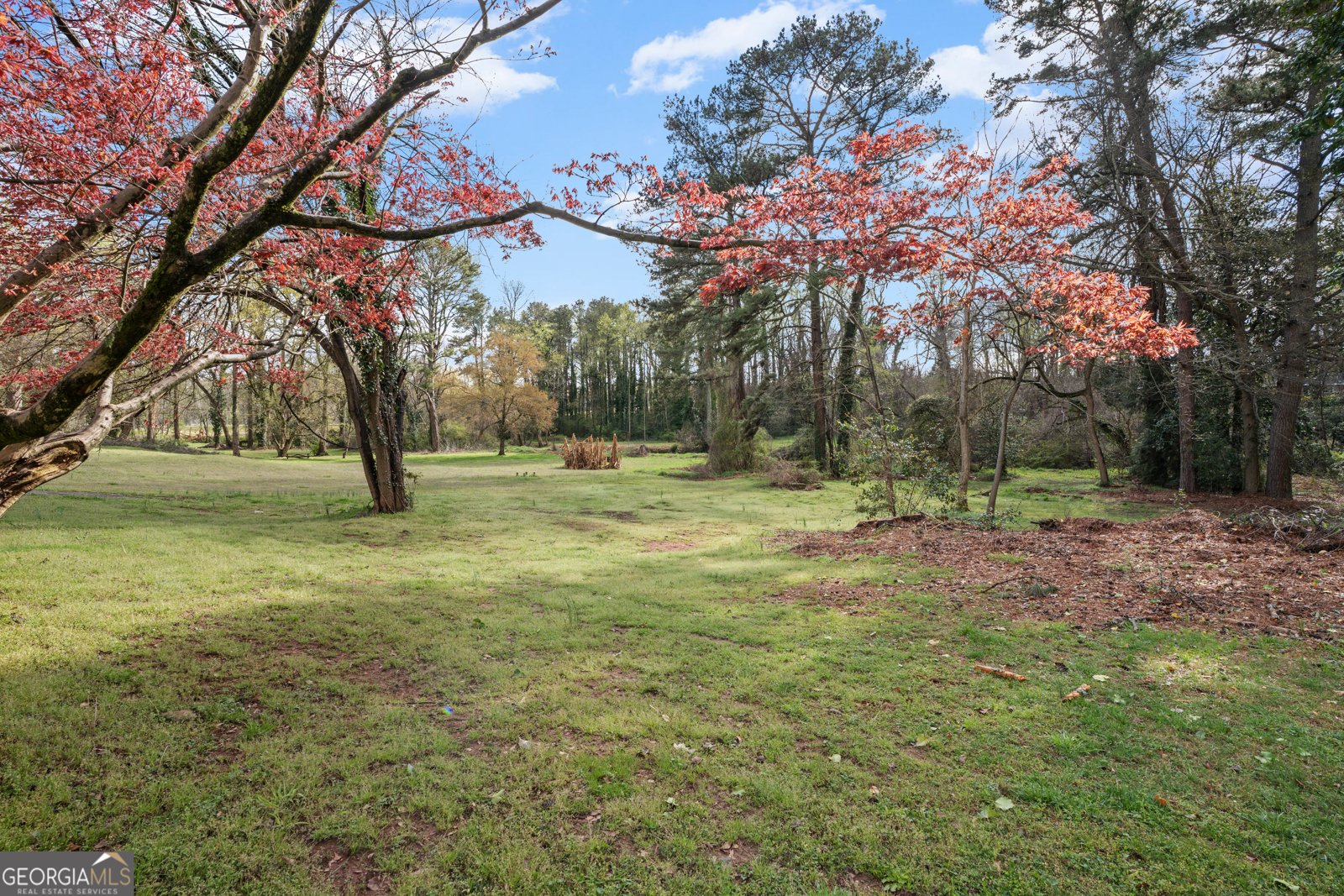 656 Cheviot Drive Decatur - Photo 49