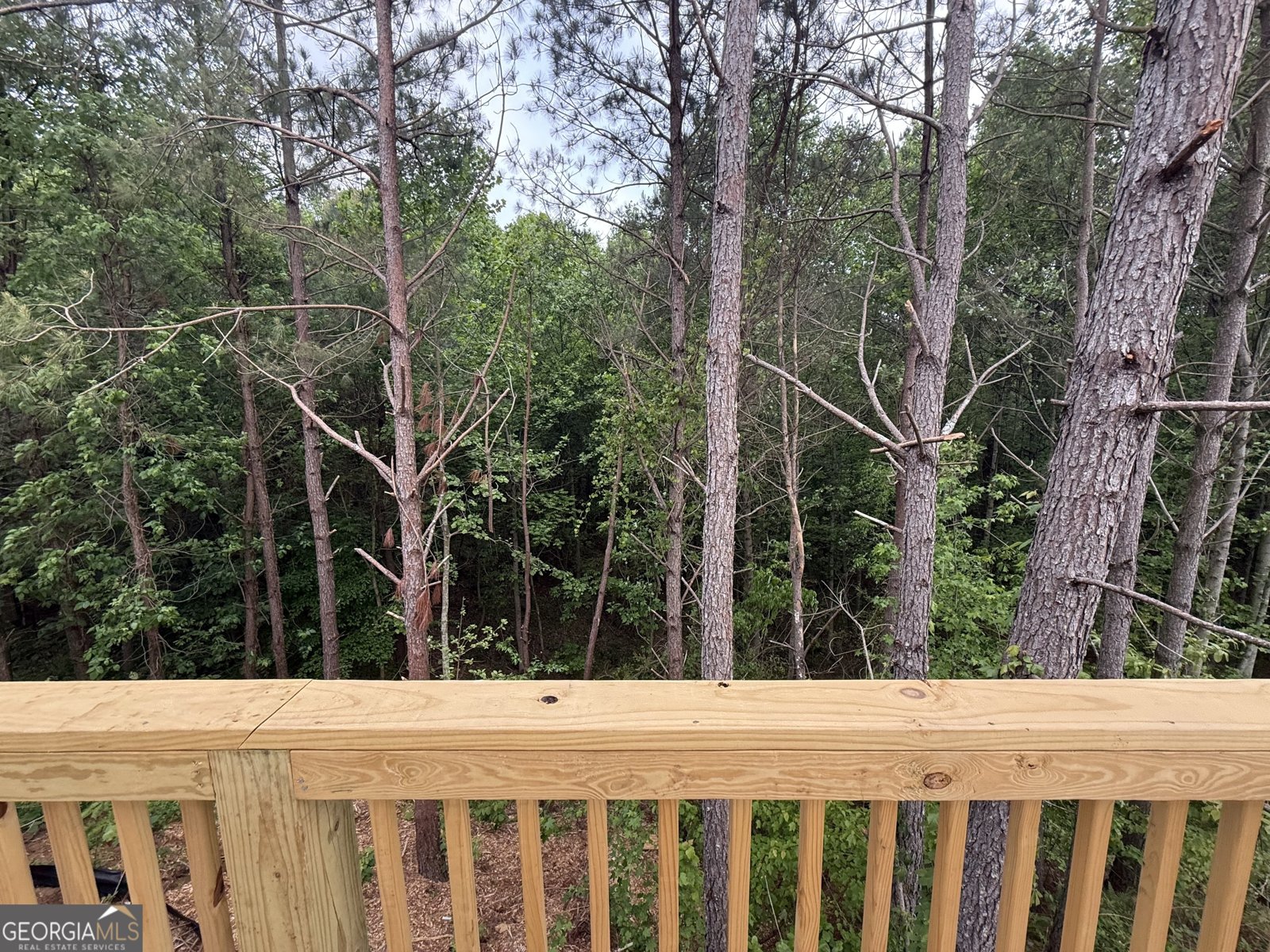 161 Ambrose Drive Jasper - Photo 10