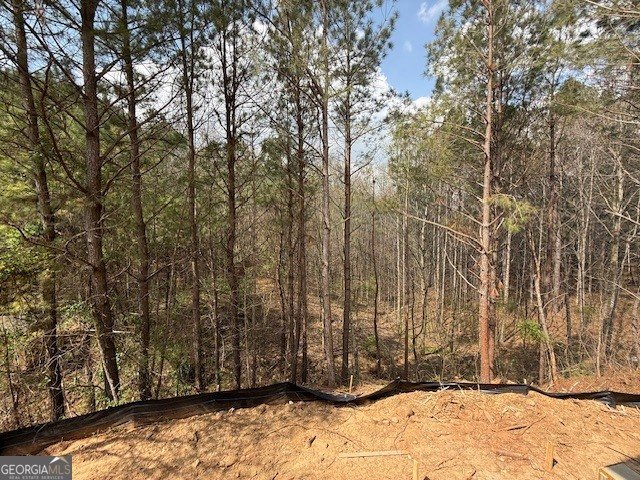 161 Ambrose Drive Jasper - Photo 8