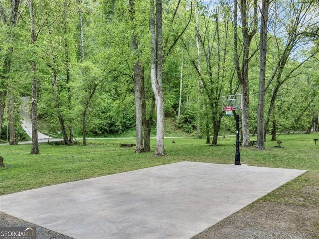 313 Muffle Court Ellijay - Photo 121