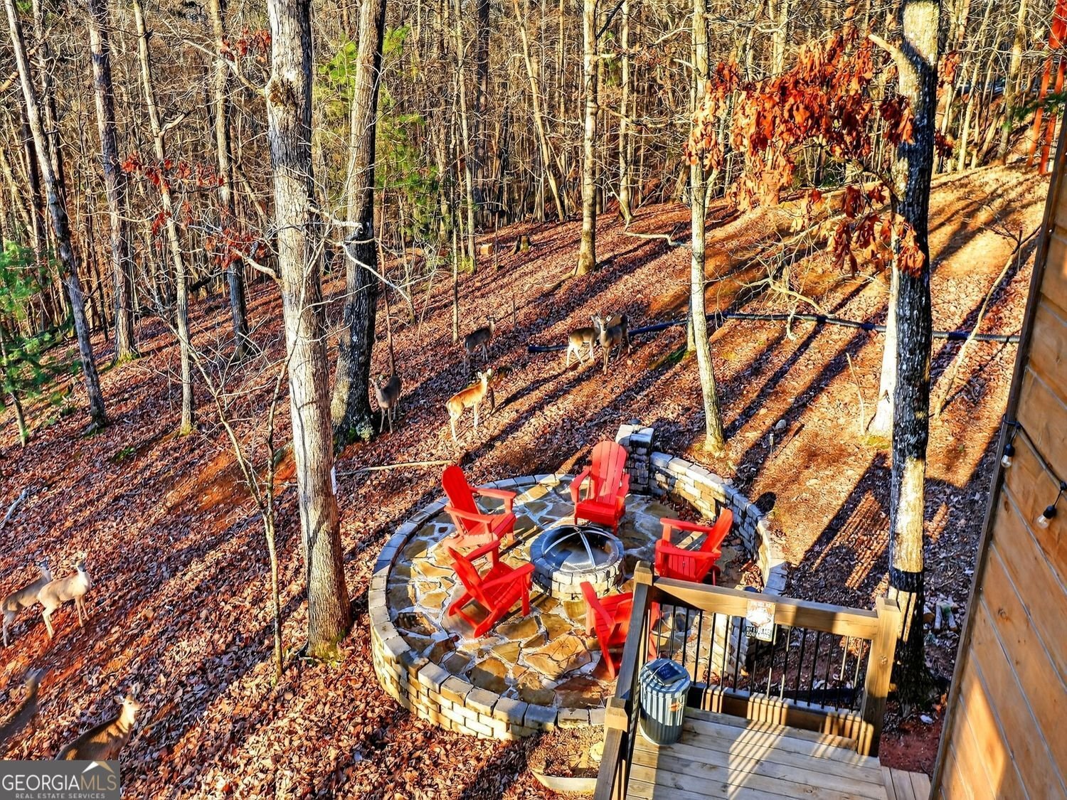 313 Muffle Court Ellijay - Photo 56