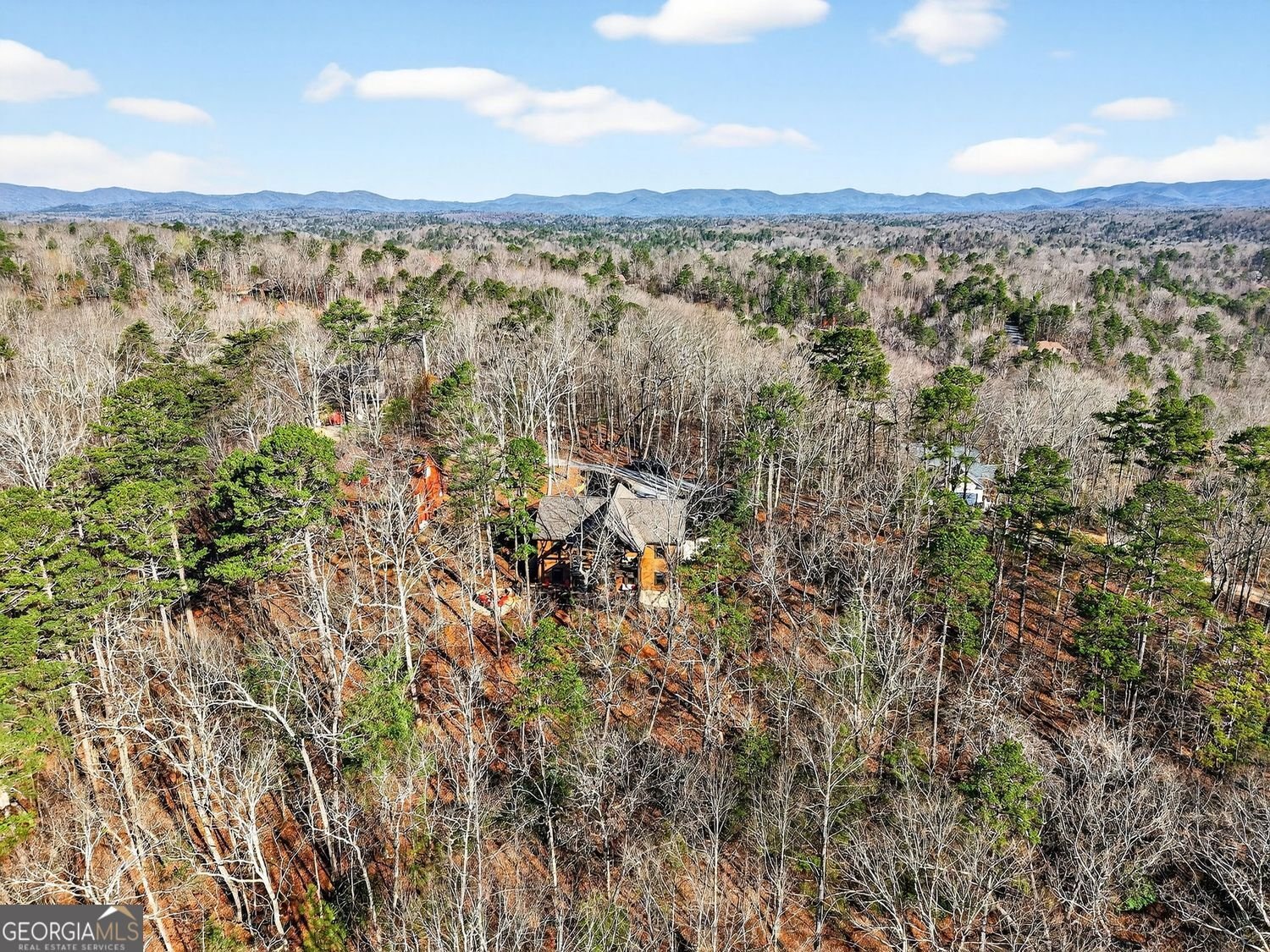 313 Muffle Court Ellijay - Photo 75