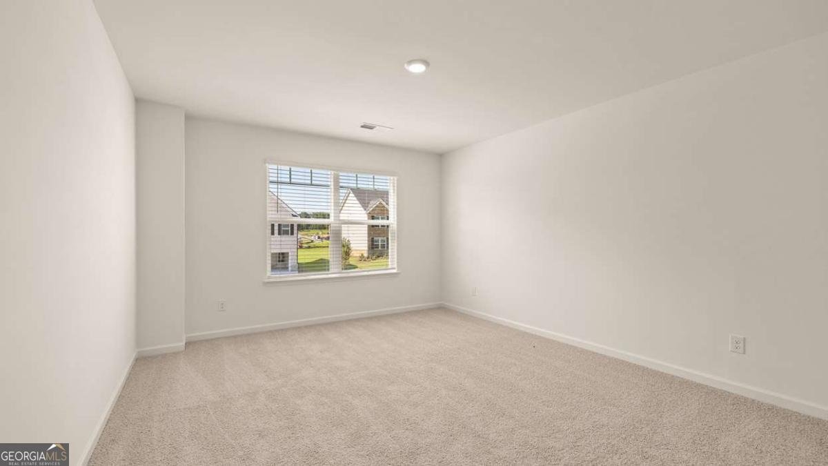 3029 Champions Way Loganville - Photo 45