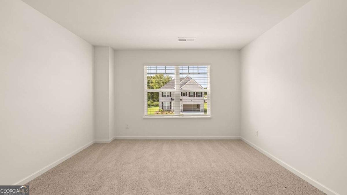 3029 Champions Way Loganville - Photo 46