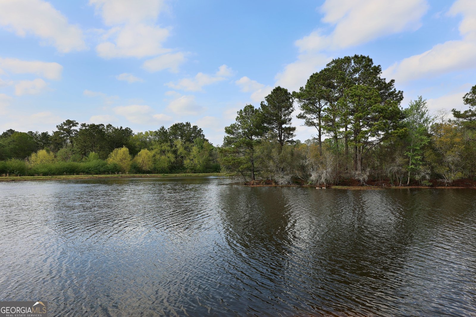 103 Willow Ridge Circle Thomasville - Photo 29