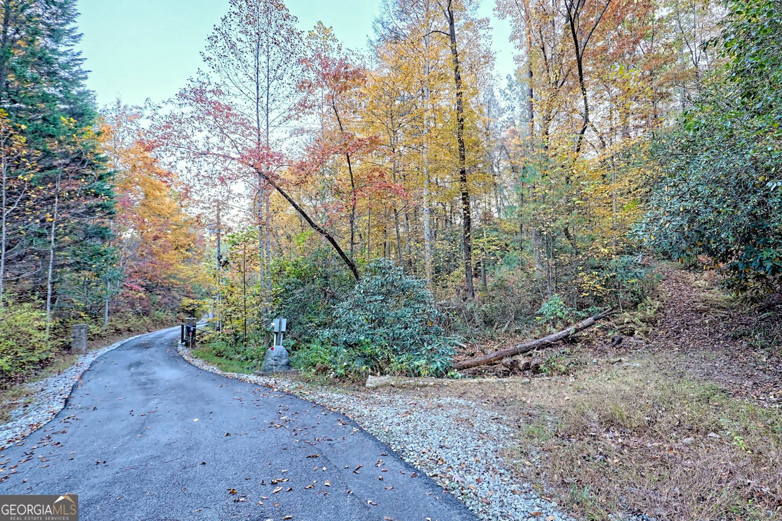 9406 Bridge Creek Road Tiger - Photo 94