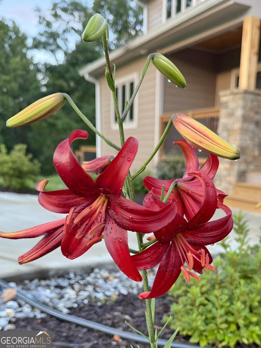 335 Northshore Drive Blairsville - Photo 62