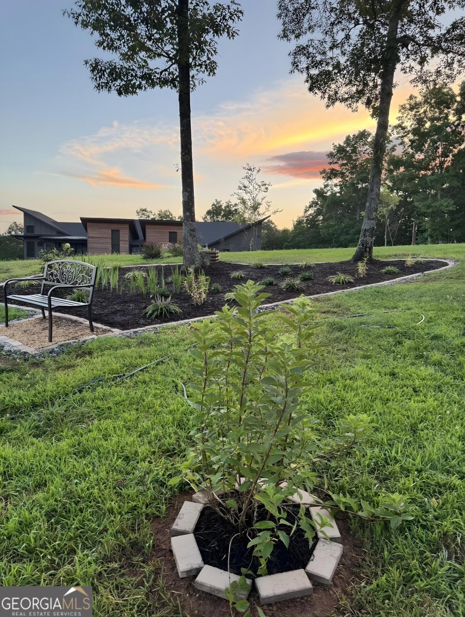 335 Northshore Drive Blairsville - Photo 64