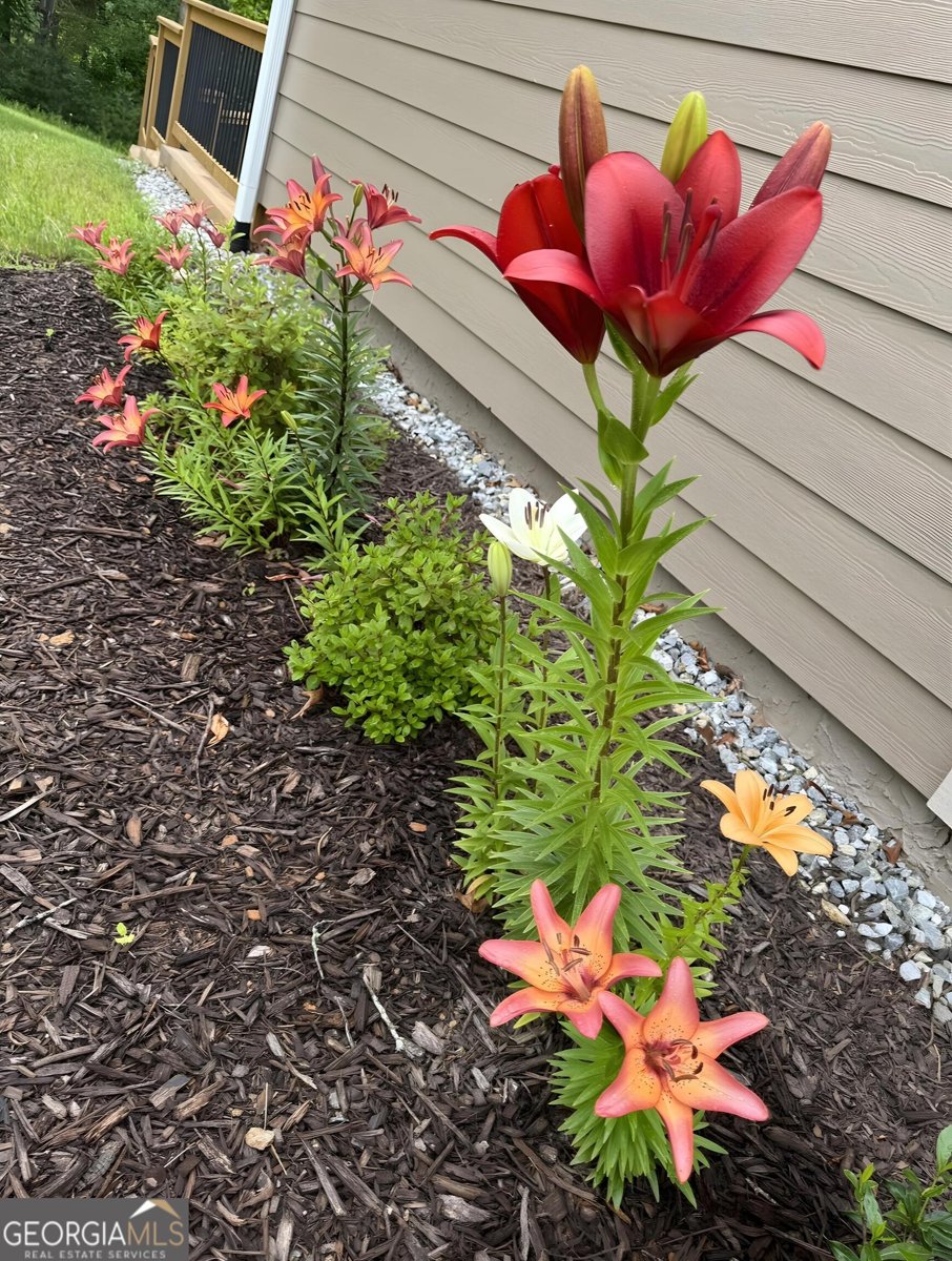 335 Northshore Drive Blairsville - Photo 71