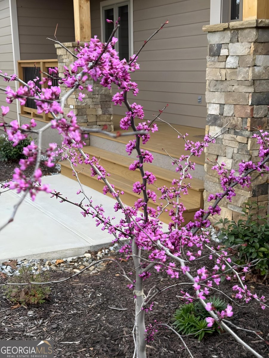 335 Northshore Drive Blairsville - Photo 73