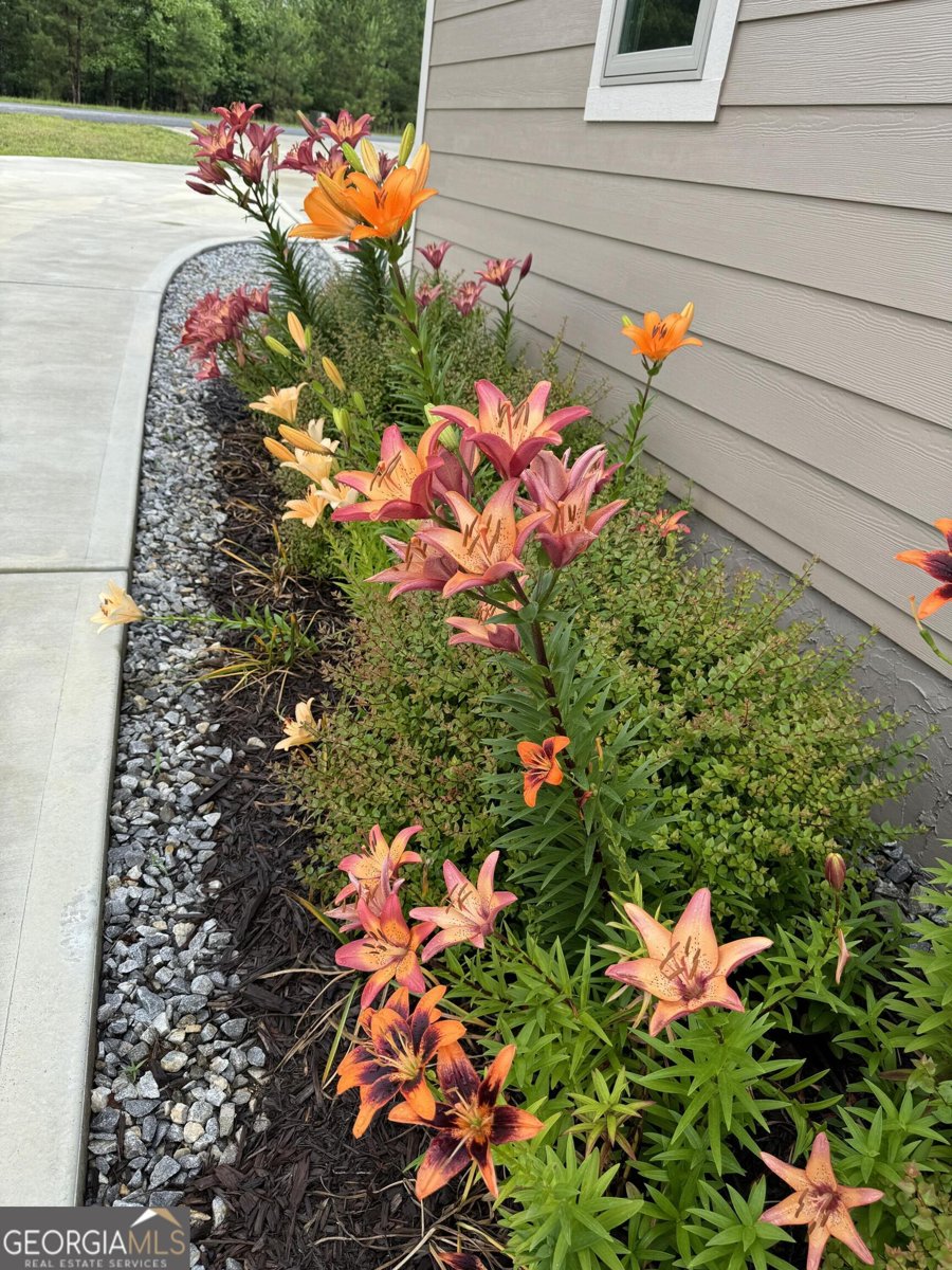 335 Northshore Drive Blairsville - Photo 74