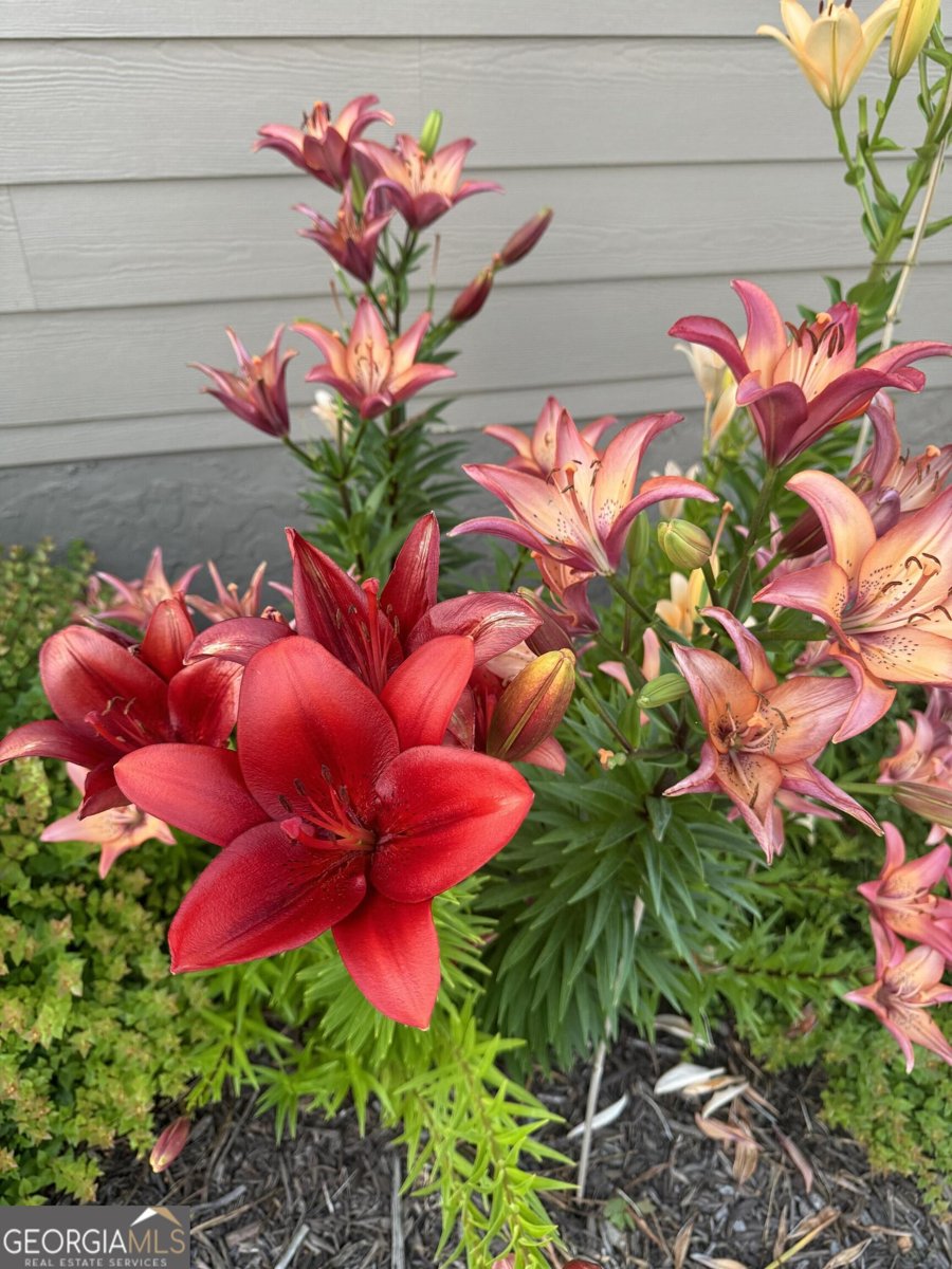 335 Northshore Drive Blairsville - Photo 75