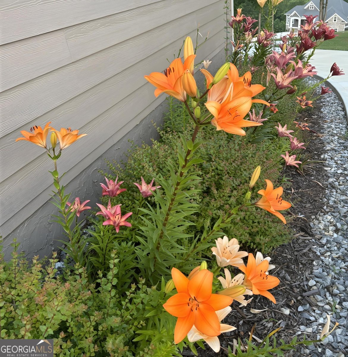 335 Northshore Drive Blairsville - Photo 76