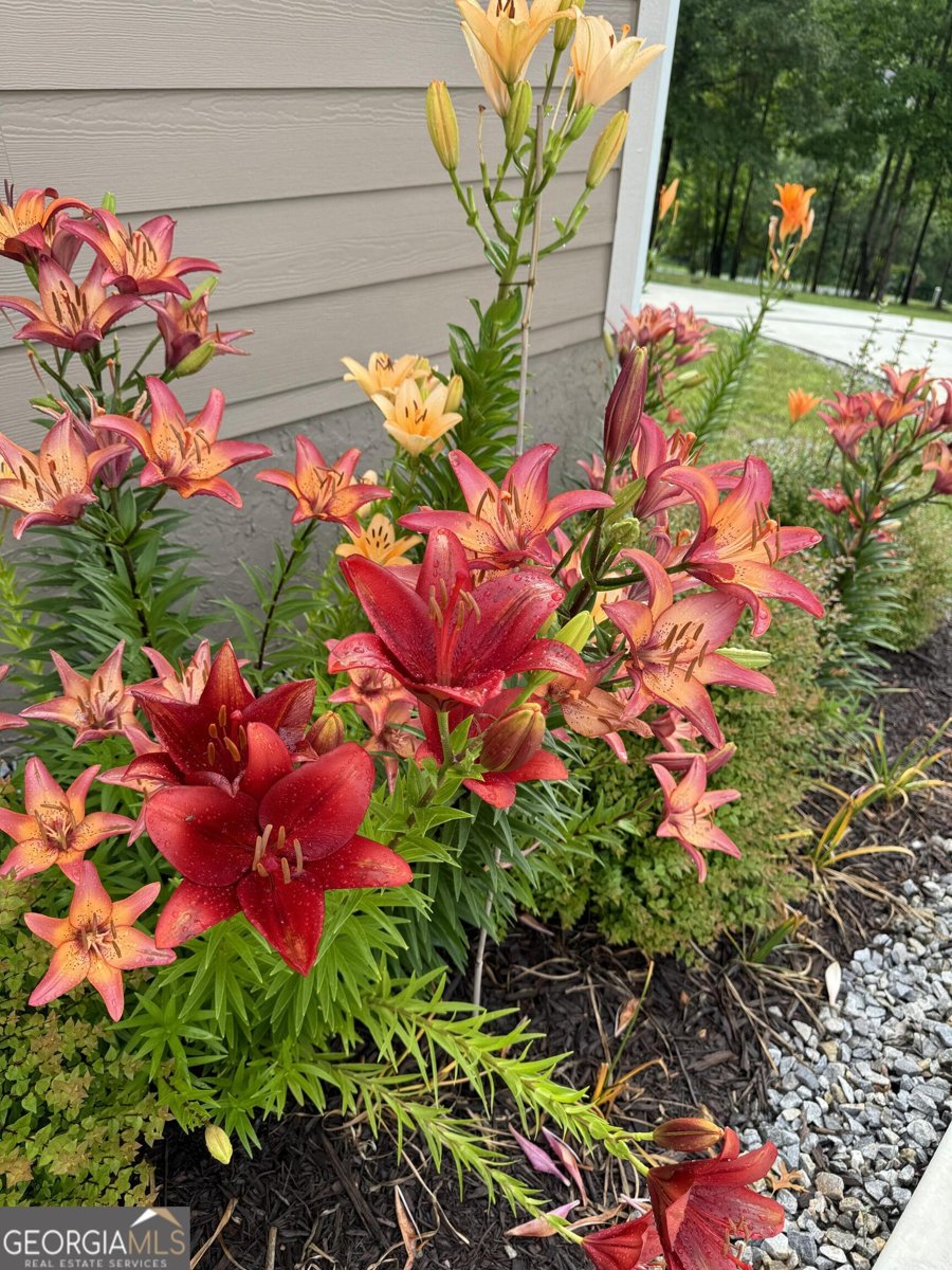 335 Northshore Drive Blairsville - Photo 77