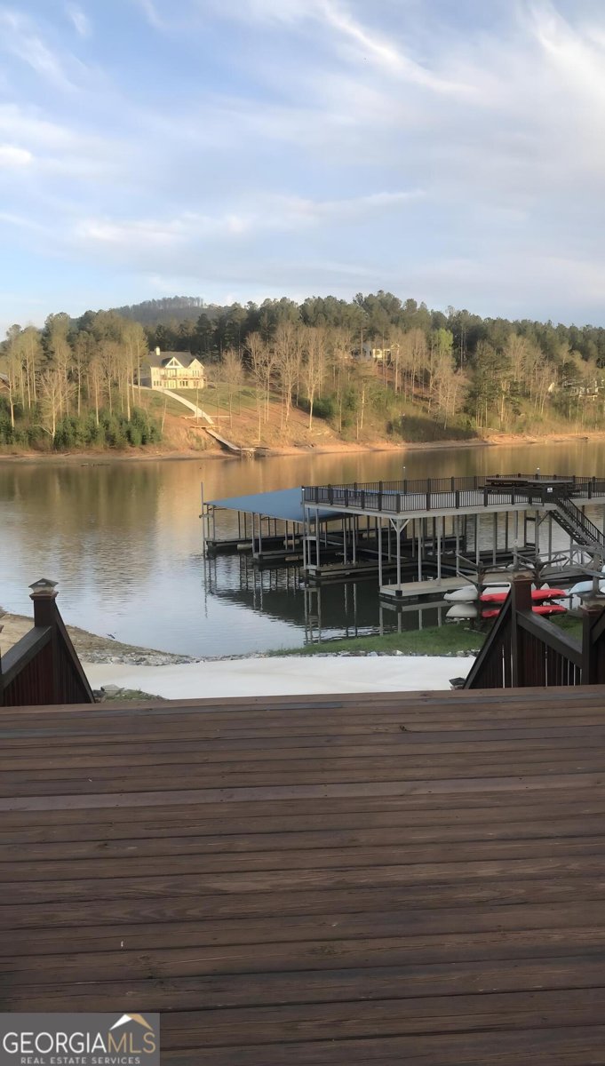 335 Northshore Drive Blairsville - Photo 81