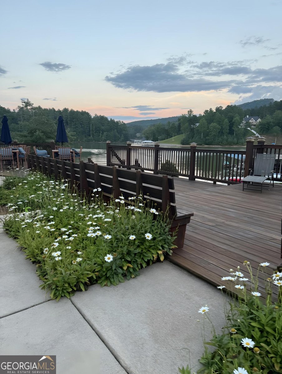 335 Northshore Drive Blairsville - Photo 84