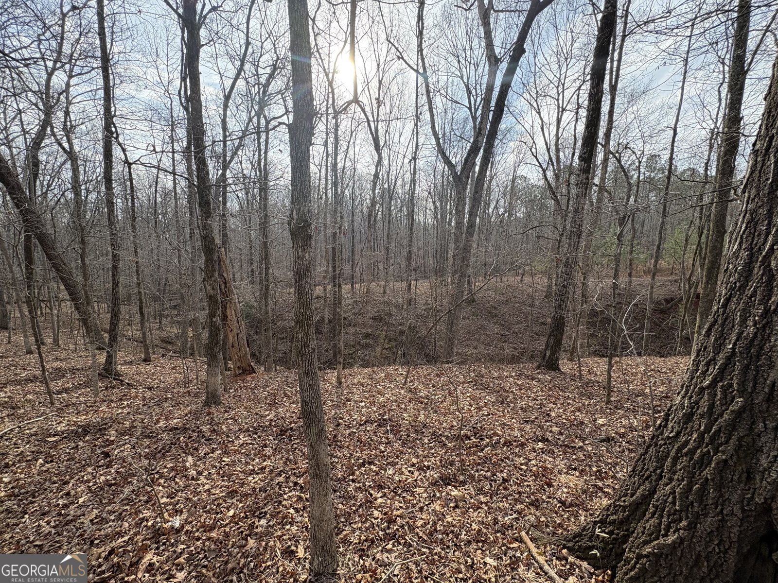 153 Highland Circle Flovilla - Photo 35