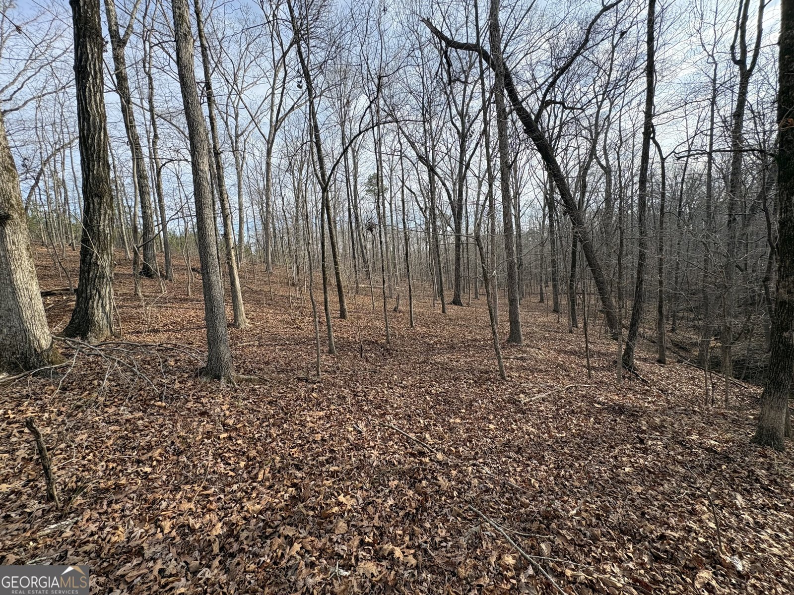 153 Highland Circle Flovilla - Photo 36