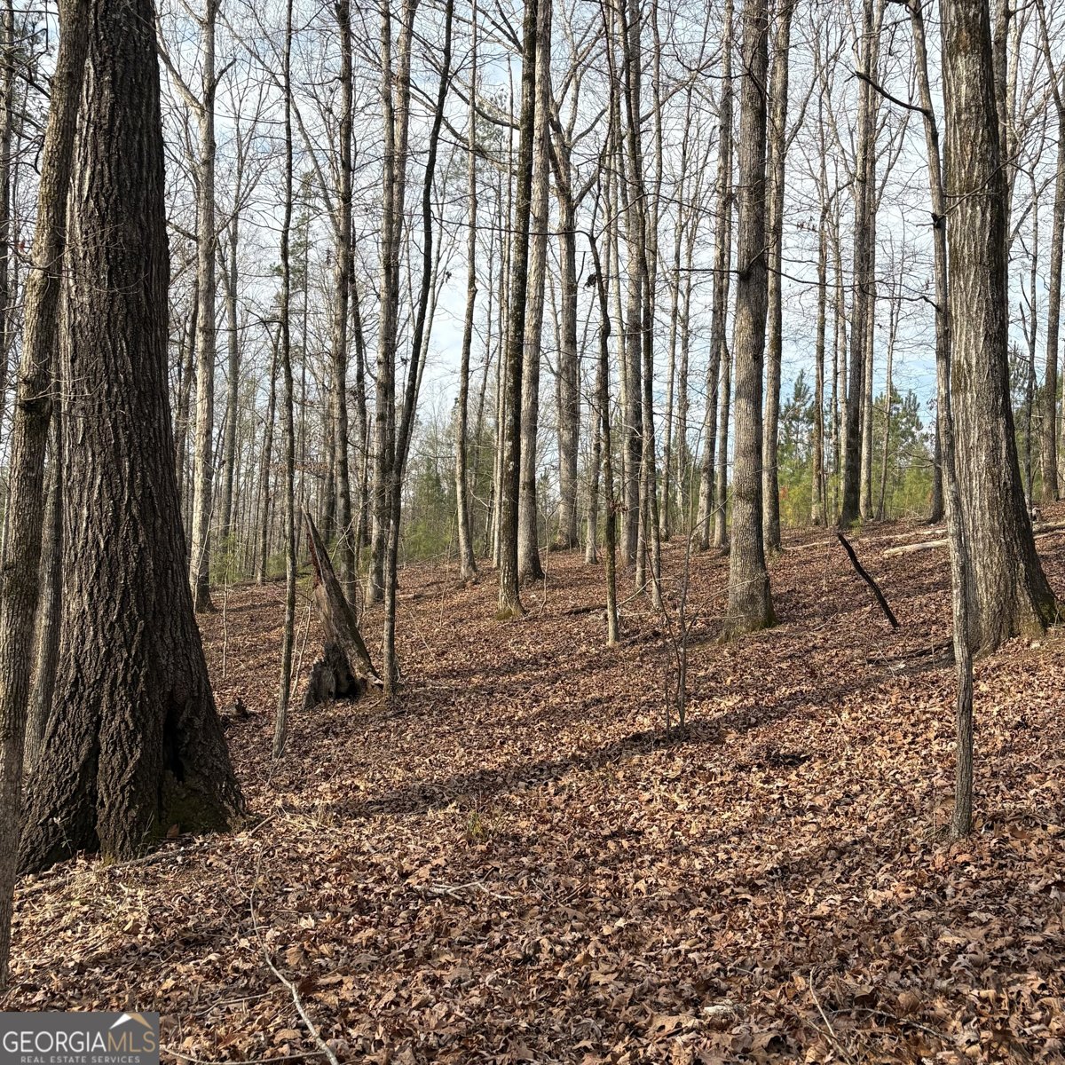 153 Highland Circle Flovilla - Photo 37