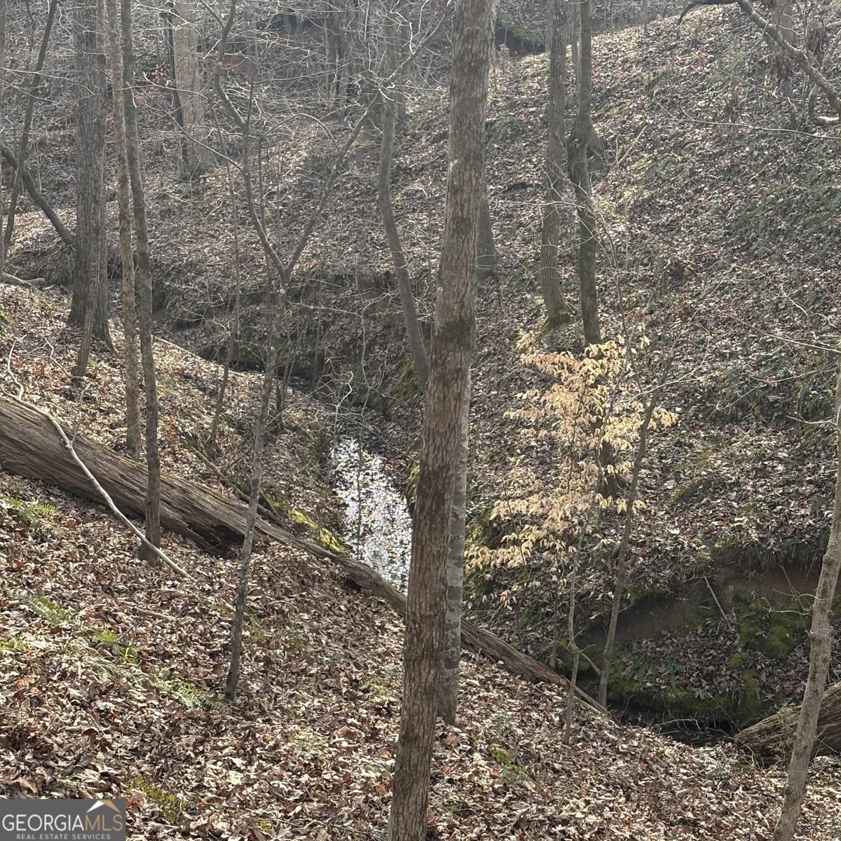 153 Highland Circle Flovilla - Photo 38