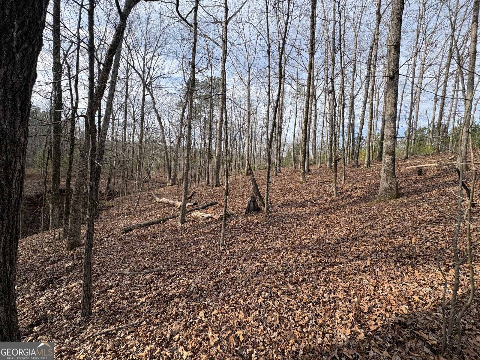 153 Highland Circle Flovilla - Photo 39