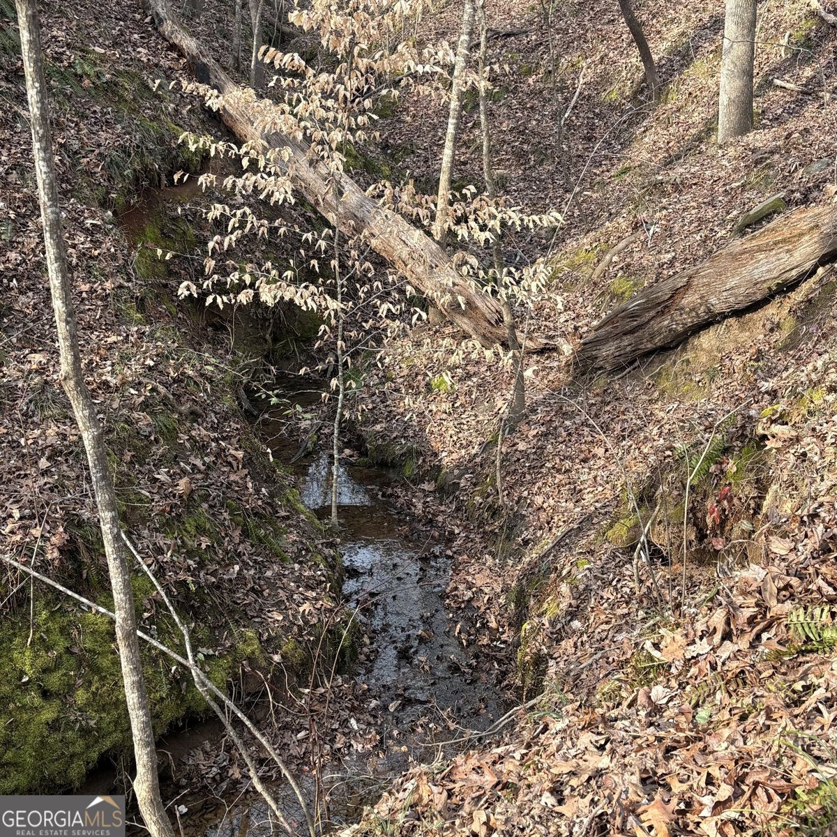 153 Highland Circle Flovilla - Photo 40