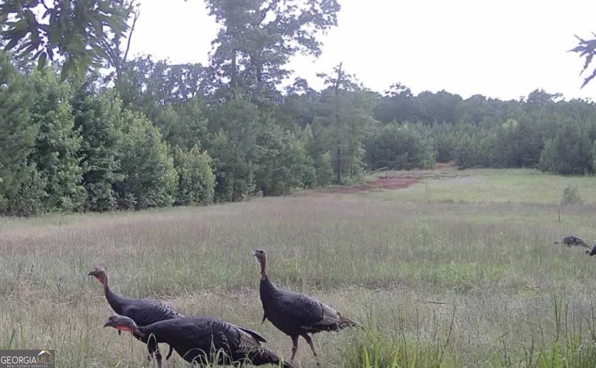 153 Highland Circle Flovilla - Photo 41